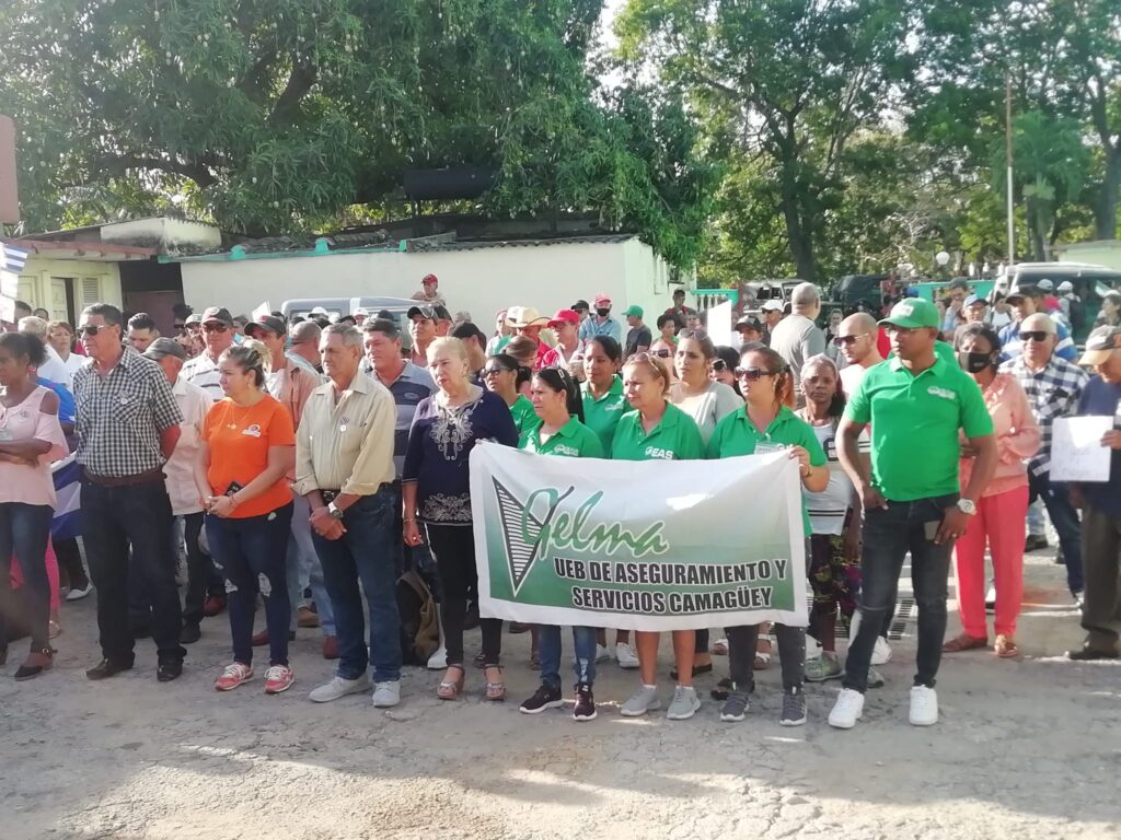 Reconocen en Camagüey a trabajadores agropecuarios y forestales