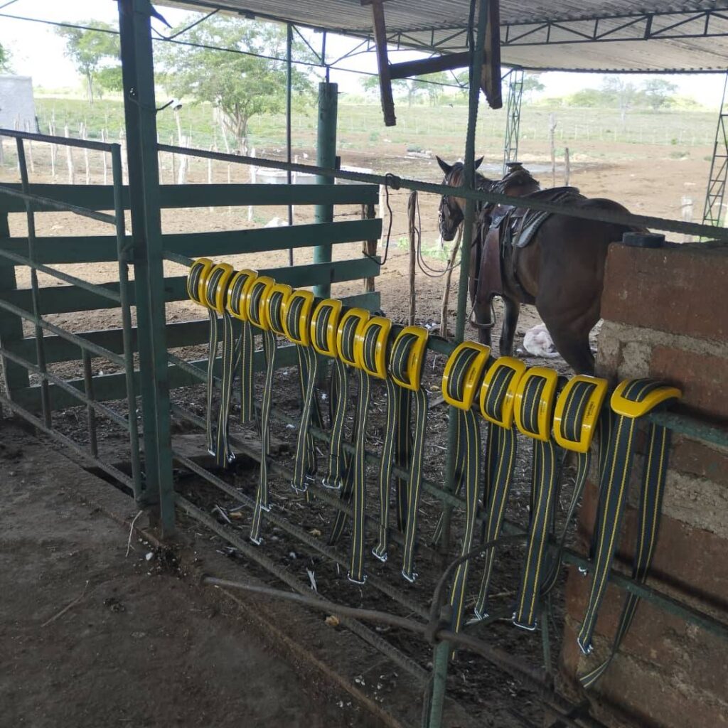 Proyecto Internacional Mejora del potencial de leche a través de la implementación de un programa de manejo de la salud del rebaño