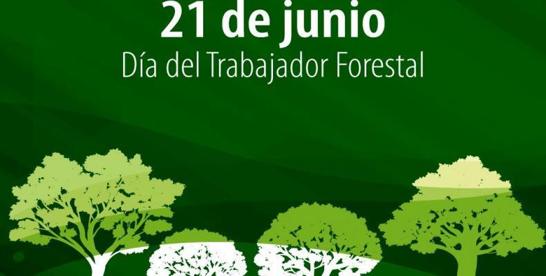 Celebran su día trabajadores forestales de Camagüey