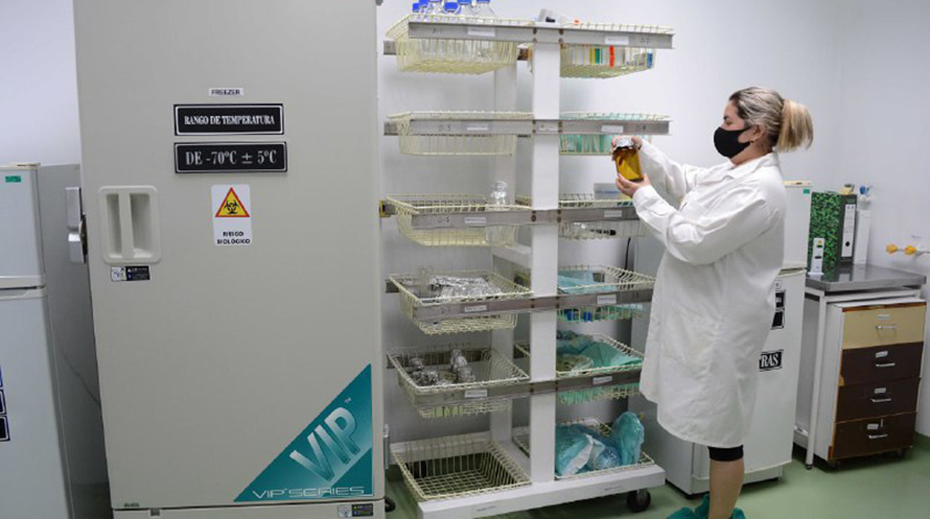 CIGB de Camagüey exporta por primera vez vacuna Porvac