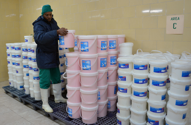 Dairy industry in Camagüey plans to increase production levels