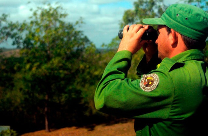 Reconocen en Cuba a trabajadores forestales y al Cuerpo de Guardabosques