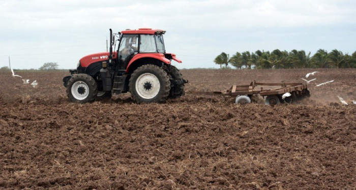 Empresa Agropecuaria Camagüey busca hacer su mejor campaña de siembra