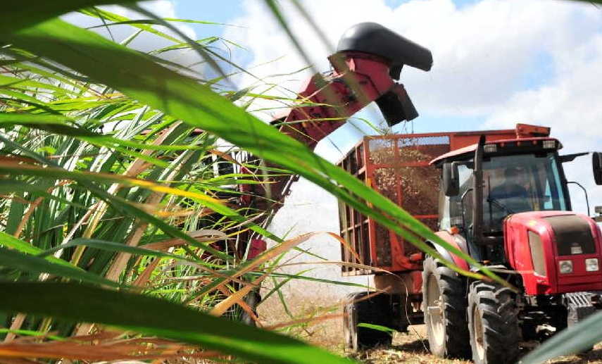 Millionaire combined sugarcane operators, good work to multiply in Camagüey 