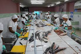 Sindicato de la industria Alimentaria y la Pesca en Camagüey por mejores resultados