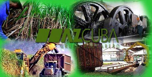 Azcuba prevé producir desde Camagüey más de mil toneladas de sorbitol