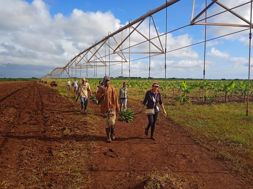 Morales Ojeda convoca en Camagüey a mayor protagonismo empresarial en producción de alimentos