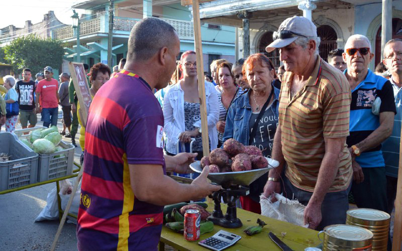 Authorities in Camagüey evaluate the progress of food production
