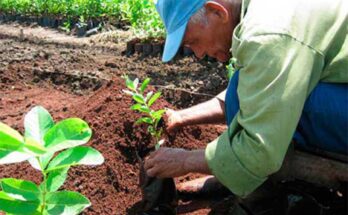 Links between Agricultural bodies are strengthened in Camagüey