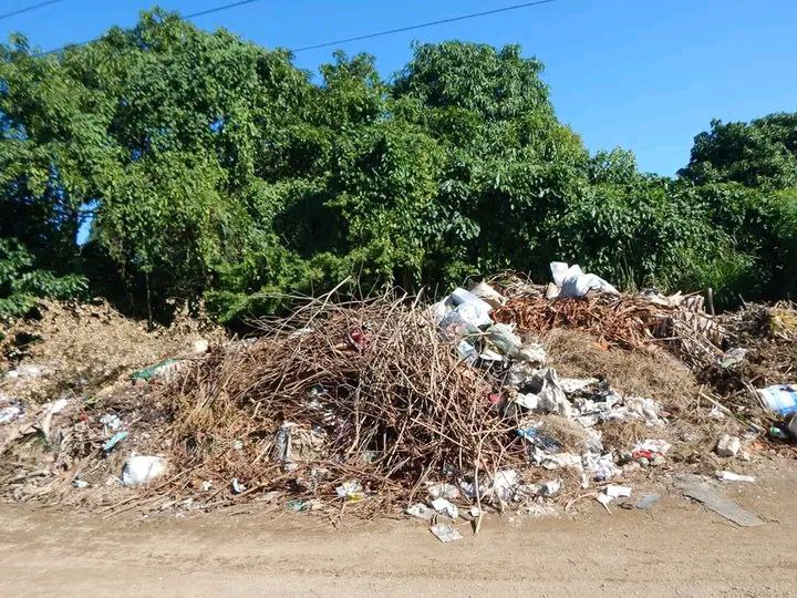 Realizan en Camagüey acciones de higienización en las comunidades