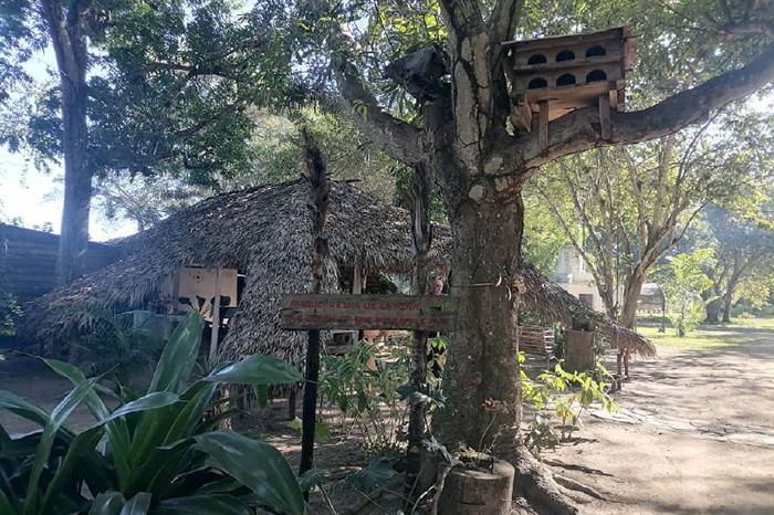 Camagüey: sostiene finca desarrollo de prácticas agroecológicas