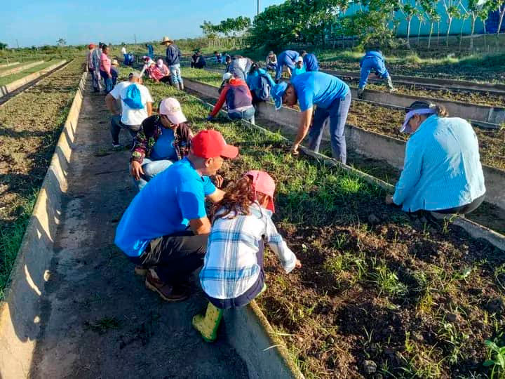 Celebran camagüeyanos aniversario de la Central de Trabajadores de Cuba