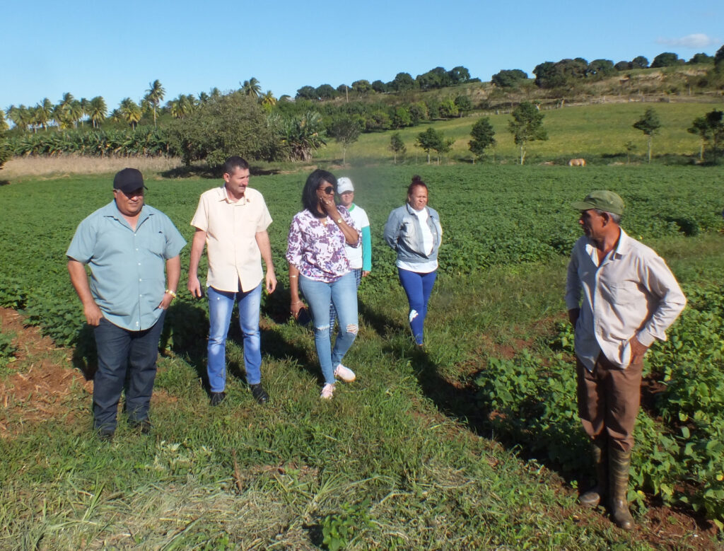 Llama dirigente partidista de Camagüey a diferenciada atención a productores agrícolas de avanzada