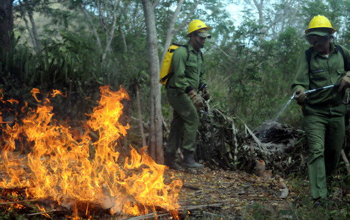 Prevención de incendios forestales en Cuba en nuevo instrumento legal 