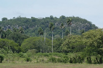 Camagüey avanza en sostenibilidad y protección de su biodiversidad
