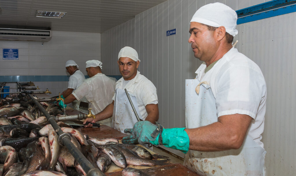 Trabajadores pesqueros de Camagüey exhiben positivos resultados