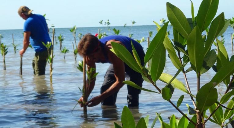 Cuba más resiliente ante los retos medioambientales
