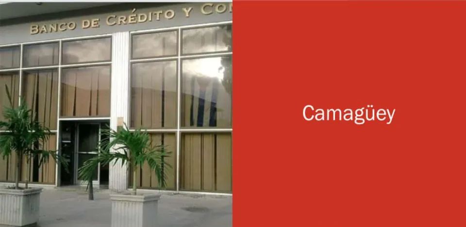 Bandec Camagüey prepares for knowledge exchange