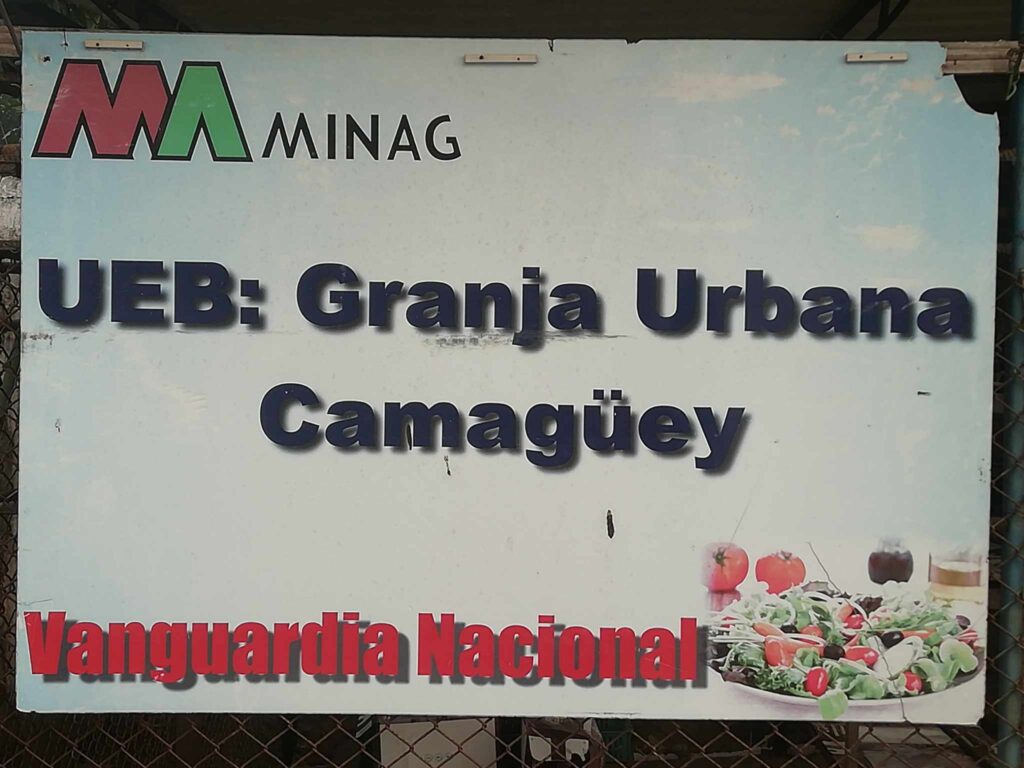 Marcha bien este año Granja Urbana en Camagüey