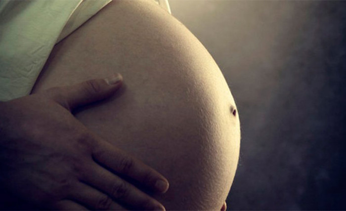 In Camagüey, work is being done to stimulate fertility