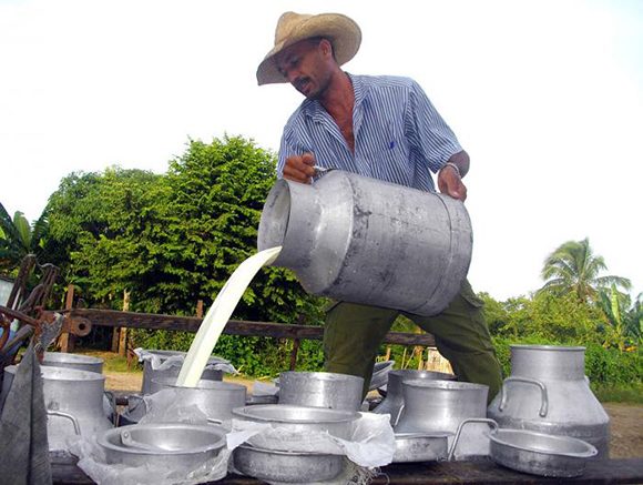 Cooperativa campesina camagüeyana acciona para mejorar sus resultados