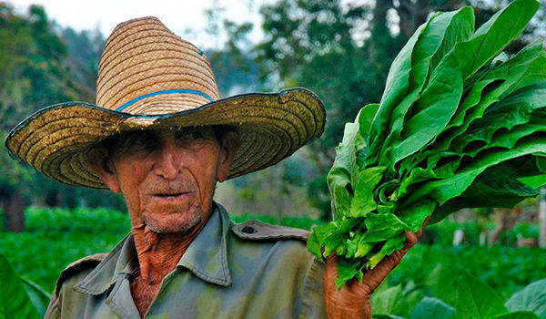 Grassroots process prior to peasants' congress concluded in Camagüey