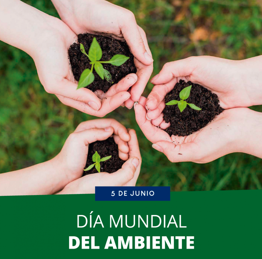 Vigilancia y control ambiental prioridad en provincia de Cuba